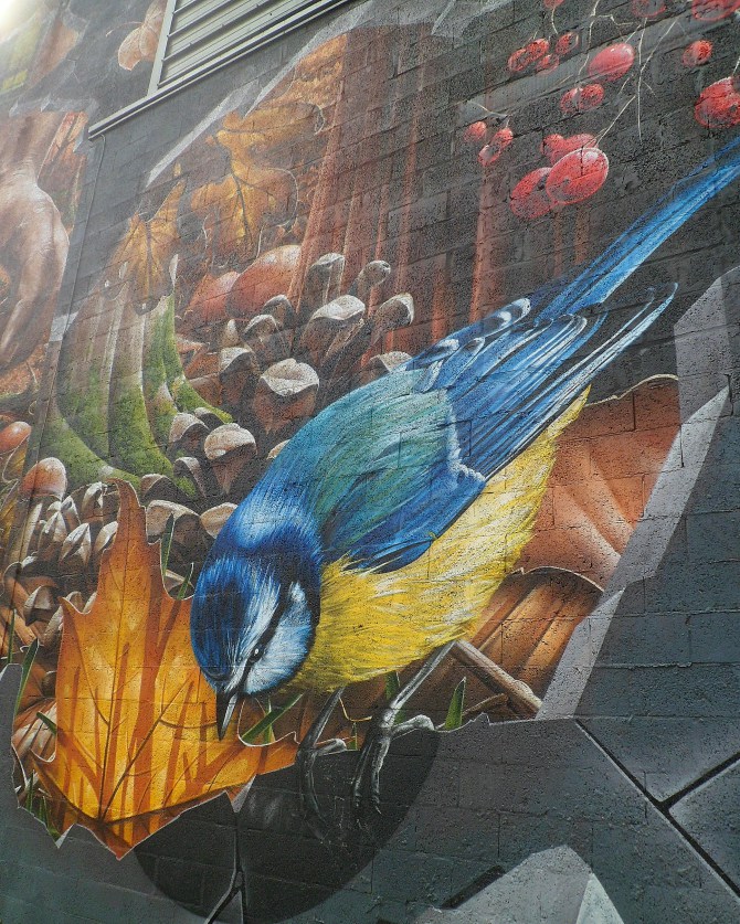 Bird street art, Glasgow